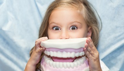 young girl with dental model