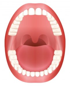 illustration of open mouth 